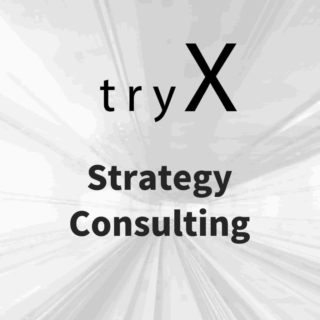 戦略コンサルティング支援_株式会社tryX